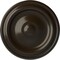 Ekena Millwork Maria Ceiling Medallion (Fits Canopies up to 1 3/4"), Hand-Painted Stone Hearth, 9 5/8"OD x 1 1/8"P CM09MASHF - alternate 1